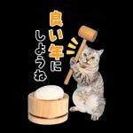 毎年使える♪リアルなにゃんこの年末年始