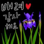 다정한 꽃편지 인사