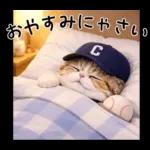野球をする猫