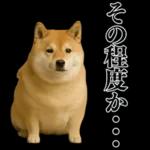 ガンギマリの柴犬＠エロ・日常会話