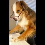 Are you really fine?!