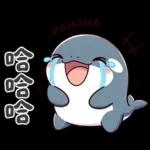 可愛小虎鯨-日常+聖誕+新年