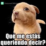en visto ..?
