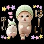 ずっと使える メロン帽が可愛い 猫とウサギ