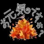 大人の挨拶♡秋の毎日♡品よくおしゃれに