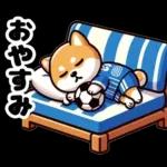 サッカー大好きな柴犬