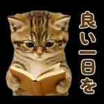 秋のネコたちにゃんだふる♡