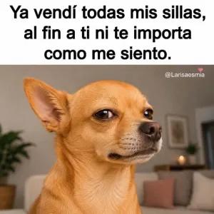 Ya vendí todas mis sillas, al fin a ti ni te importa como me siento. @Larisaesmia - getsticker.com