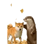 飛び出す！カワウソ