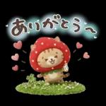 おひとよしネコチャン⭐️3Dフロッキー 1