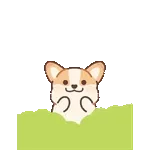 飛び出す！コギたんの春のお返事スタンプ