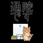 病院へ行くはぴきゃと！体調不良な毎日用
