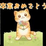 ぽかぽか春ねこライフ
