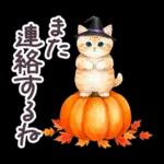 秋冬 毎日使える コスにゃんず 日常