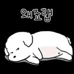 또리는 소심하지만 참지않지