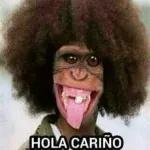 HOLA CARIÑO