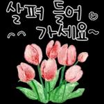 살펴 들어 가세요~