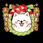 サモエドのお正月シリーズ