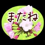 春✿明るい花で幸せ呼び込む✿やさしい声かけ