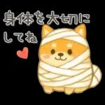 柴犬いっぱい♡豆しば♡秋＆冬