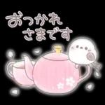 春のふんわり♥️シマエナガさん