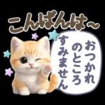 にゃんこ達の❤️気持ちたっぷり長文❤ねこ