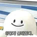 뭐 되는 베베와 멜롱이 짤.zip2