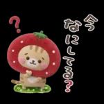 おひとよしネコチャン⭐️3Dフロッキー 1