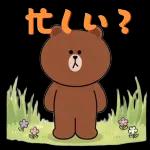 ぽかぽかくまさんの春