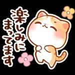 毎日♡猫ちゃんず【連絡・今何してる？】