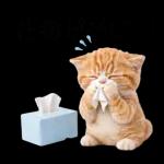 毎日使えるねこあいさつ