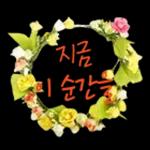 꽃으로 전하는 마음, 감사톡