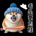 圓柴柴18:祝你有個可愛的一天❤️