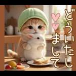 ずっと使える メロン帽が可愛い 猫とウサギ