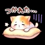 猫のつめあわせ【冬】