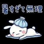 毎日使える夏☆ほぼ白うさぎ