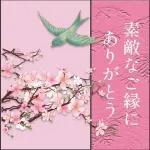 気にしすぎなくていい