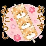 和菓子で敬語❤️いやしばいぬ❤️柴犬