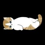 あけおめにゃん午