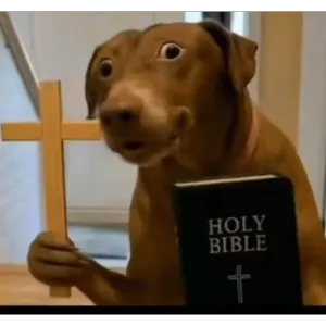 HOLY BIBLE - getsticker.com