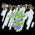 気遣い♡ぷっくり梅雨.天気