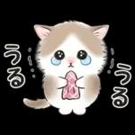 ゆるかわ☆ちび猫たちのスタンプ