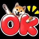 柴犬ワンダフル！！！！！