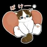 おめかしにゃん