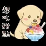 小拉拉 實用日常