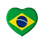 meus memes 
