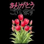 もふ屋画♪チップとデール