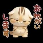 ねこちぃず♡ぐったり涙といたわり