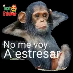 No me voy A estresar - getsticker.com
