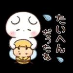 チロクマとアイビー　初夏